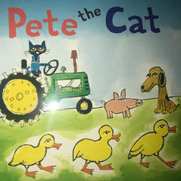 Bundle Of 12 Pete The Cat Books - Picture 10 of 14